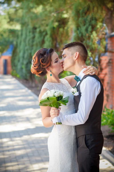 Beautiful wedding couple — Stock Photo, Image