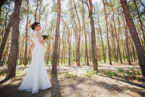 森の花嫁 — ストック写真
