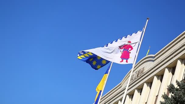 Bandera de Ucrania — Vídeo de stock