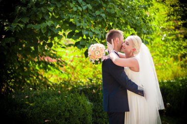 yumuşak öpücük gelin ve damat