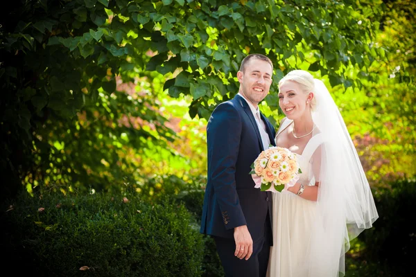 Όμορφος γαμπρός και νύφη ξανθιά — Φωτογραφία Αρχείου