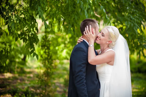 Pareja de boda en hojas verdes — Foto de Stock