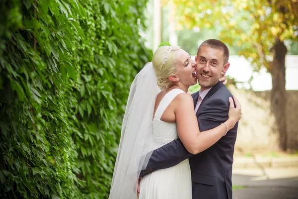 Passion bröllop brudgummen kyssa bruden — Stockfoto