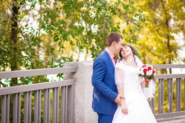 Los preparativos para la novia y el novio de boda en verano — Foto de Stock