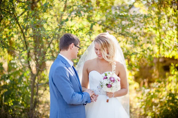 Gli sposi matrimonio servizio fotografico — Foto Stock