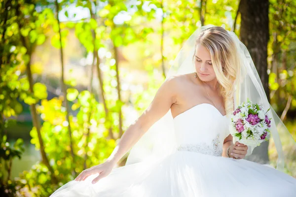 Bride dress corrects — Stock Photo, Image