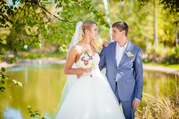 Retrato de casamento de família — Fotografia de Stock