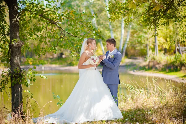 Paren huwelijksceremonie — Stockfoto