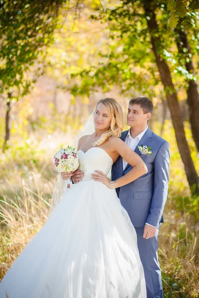 Sposo e sposa insieme — Foto Stock