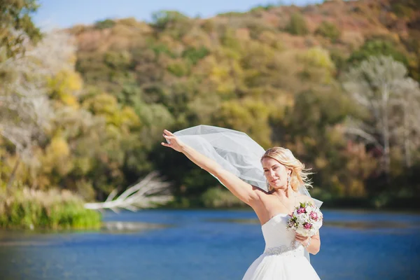 Veil is wind — Stock Photo, Image