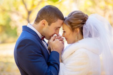 Gelin Damat görünüyor