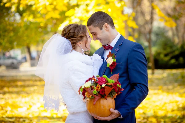 Gentle hugs and kisses the bride groom — Stock Photo, Image