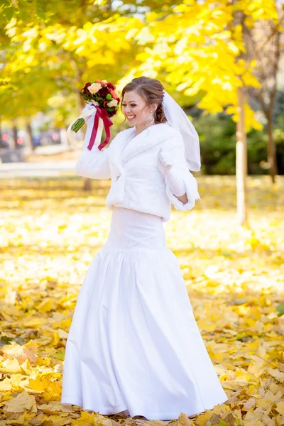 Casamento de noiva doce bonita — Fotografia de Stock