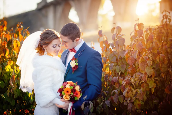 Humor de casamento de noiva e noivo — Fotografia de Stock