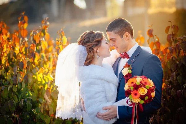 Noiva de casamento de outono e noivo na rua — Fotografia de Stock