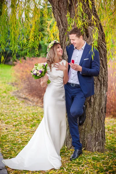 Bride groom garden tree — Stock Photo, Image