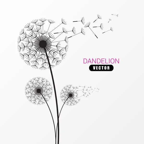 Sílhueta de dente-de-leão. Flying dandelion buds. Design moderno. Efeito —  Vetores de Stock