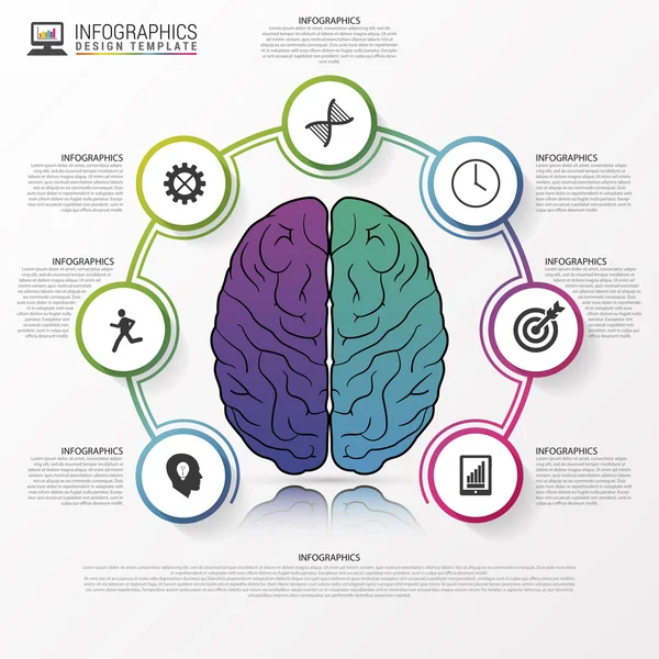 Modello infografico con cervello. Design moderno. Vettore — Vettoriale Stock