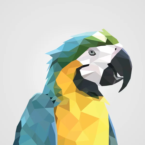 Abstrakt färgglada låg polygon macaw papegoja huvud. Vektor illustration — Stock vektor