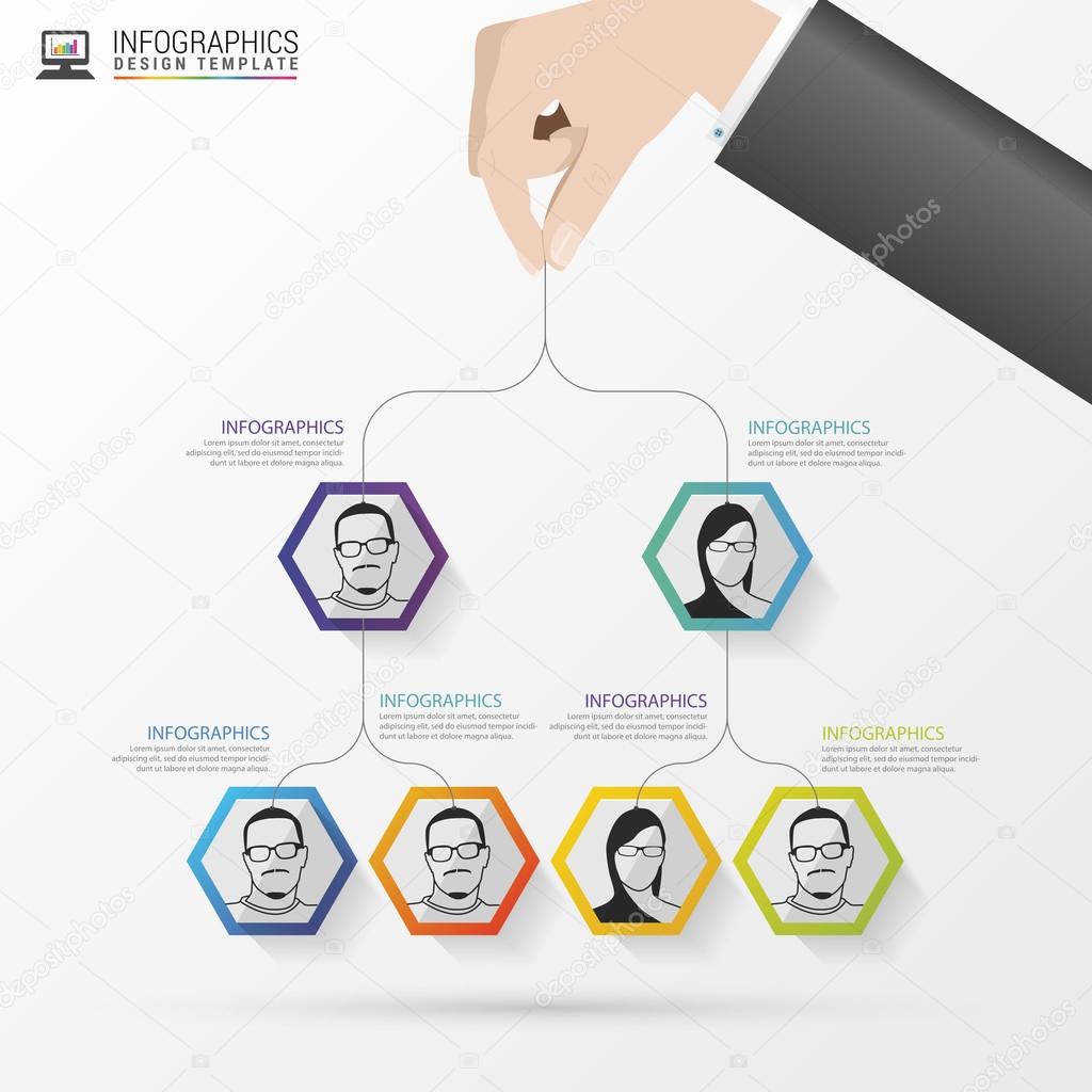 Business structure. Organisation chart. Infographic design. Vector