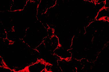 Soyut siyah ve yeşil mermer dokulu arka plan