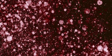 Siyah arkaplanda parlayan renkli bokeh ışık efekti 3 boyutlu illüstrasyon