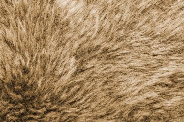 yapay kürk kahverengi doku arka plan