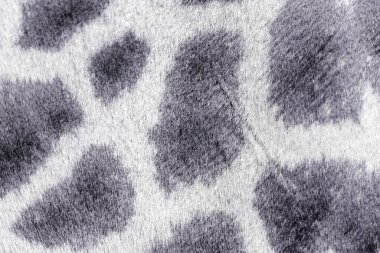 Yakından zürafa kürkü.