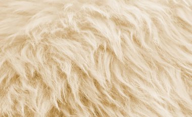 Açık kahverengi kürk arkaplan dokusu, hayvan yünü dokusu, doğal tüylü yün..
