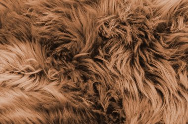 Tilkinin kürk dokusu, yakın plan kahverengi renk. Gümüş tilki kürkü desenli arka plan. Hayvan kürkü dokusu. Kahverengi doğal kısa saçlı hayvan. Yaklaş.