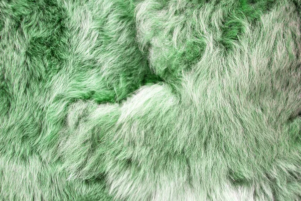 Großaufnahme Von Baby Grüner Alpakawolle Auf Dem Markt — Stockfoto