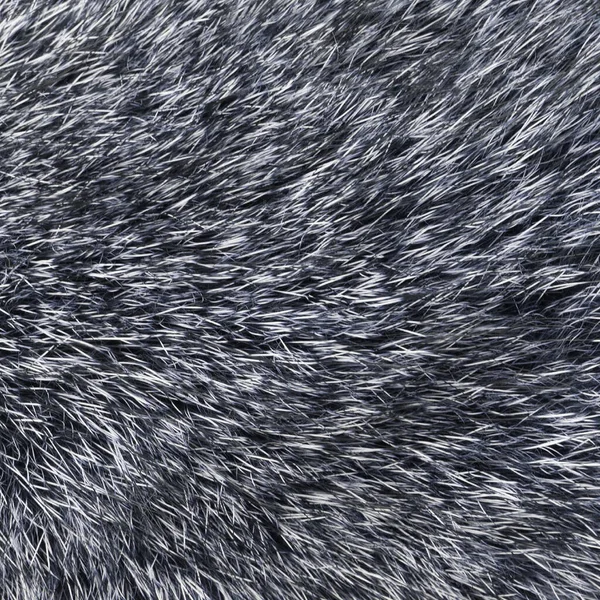 Zbliżenie Strzał Abstrakcyjny Wilk Futro Tło Teture — Zdjęcie stockowe