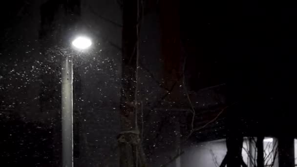 Tormenta Nieve Extendió Toda Noche — Vídeos de Stock