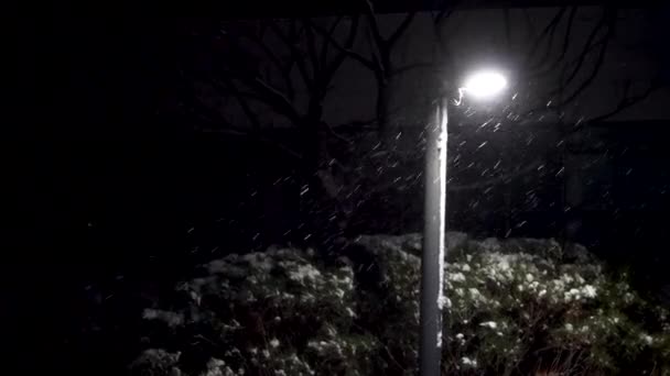 Snöstormen Rasade Hela Natten — Stockvideo