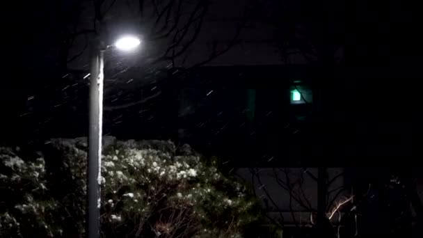 Burza Śnieżna Szalała Przez Całą Noc — Wideo stockowe