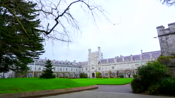 CORK, IRLAND - Sty 10: University College Cork (UCC) quad ze studentami obecnymi 10 stycznia 2014 w Cork, Irlandia. Uniwersytet został założony w 1845 roku.. — Wideo stockowe