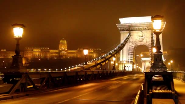 Night Sightseeing Liberty Bridge Budapest Hungary — Stock Video