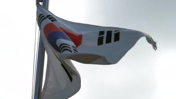 Bandiera sventolante della Repubblica di Corea — Video Stock