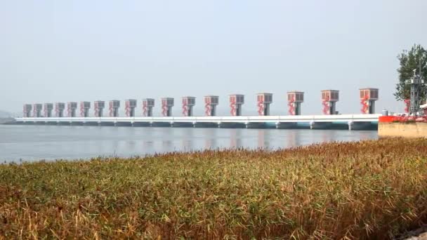 Geumgang Estuary Bank, Gunsan, Korea — Stock Video