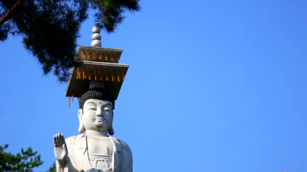 安養寺の風景 — ストック動画