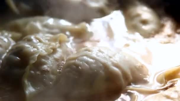 Comida coreana: Mandoo jeongol — Vídeo de Stock