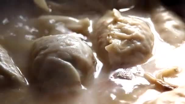 韩国食品：Mandoo Jeongol — 图库视频影像