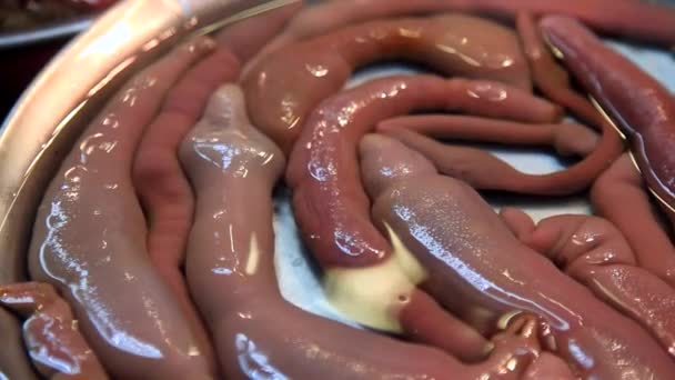 Κορεάτικα τρόφιμα Gaebul - Κουτάλι Worm — Αρχείο Βίντεο