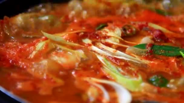Pikantní ančovičková polévka je tradiční korejské jídlo. Gijang, Busan, Korea je nejznámější pro sardele, takže si můžete vyzkoušet v různých tradičních korejských jídel z ančoviček. — Stock video