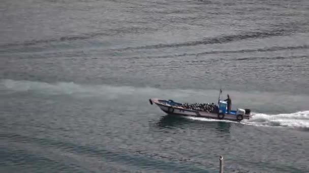 Gijang, Busan, Güney Kore - 22 Mart 2016: Sabah erken saatlerde, bir balıkçı teknesi işi bitirmek için limana giriyor. — Stok video