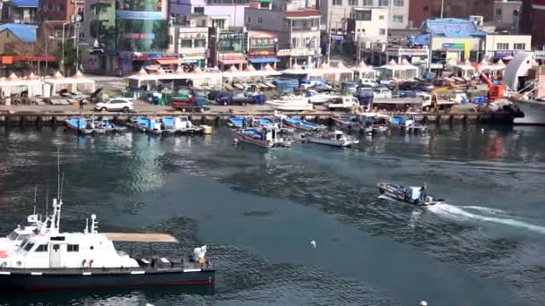 Gijang, Busan, Güney Kore - 22 Mart 2016: Sabah erken saatlerde, bir balıkçı teknesi işi bitirmek için limana giriyor. — Stok video