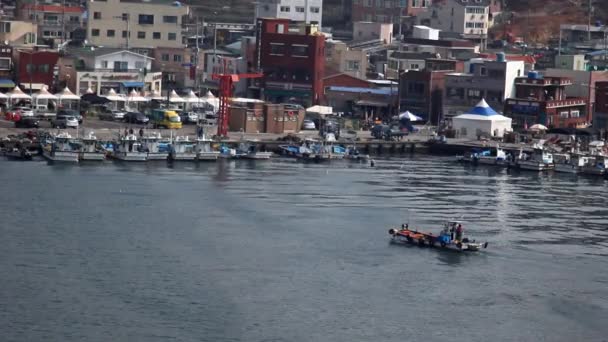 Gijang, Busan, Güney Kore - 22 Mart 2016: Sabah erken saatlerde, bir balıkçı teknesi işi bitirmek için limana giriyor. — Stok video