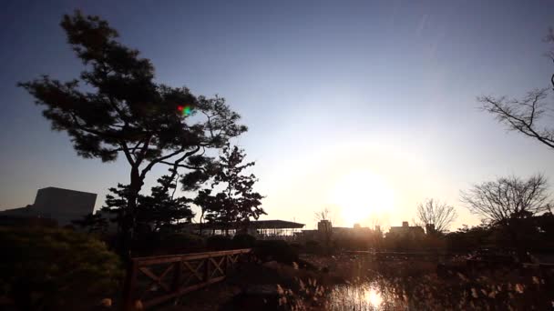 A lagoa e pavilhão tradicional coreano na silhueta Hanbat Arboretum em Daejeon, Coréia — Vídeo de Stock