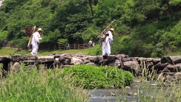 Jincheon Coreia Sul Junho 2014 Canção Funerária Tradicional Coreana Enquanto — Vídeo de Stock