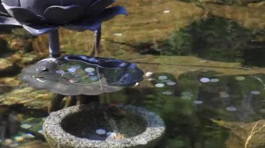 İnsanlar Botapsa Tapınağı 'ndaki Küçük Buda heykelinin yakınındaki fıskiyeye bozuk para atıyorlar. Jincheon-gun, Güney Kore.